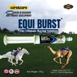 EQUI-BURST