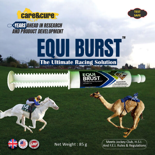 EQUI-BURST