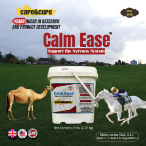 Calm Ease
