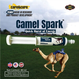 Camel Spark